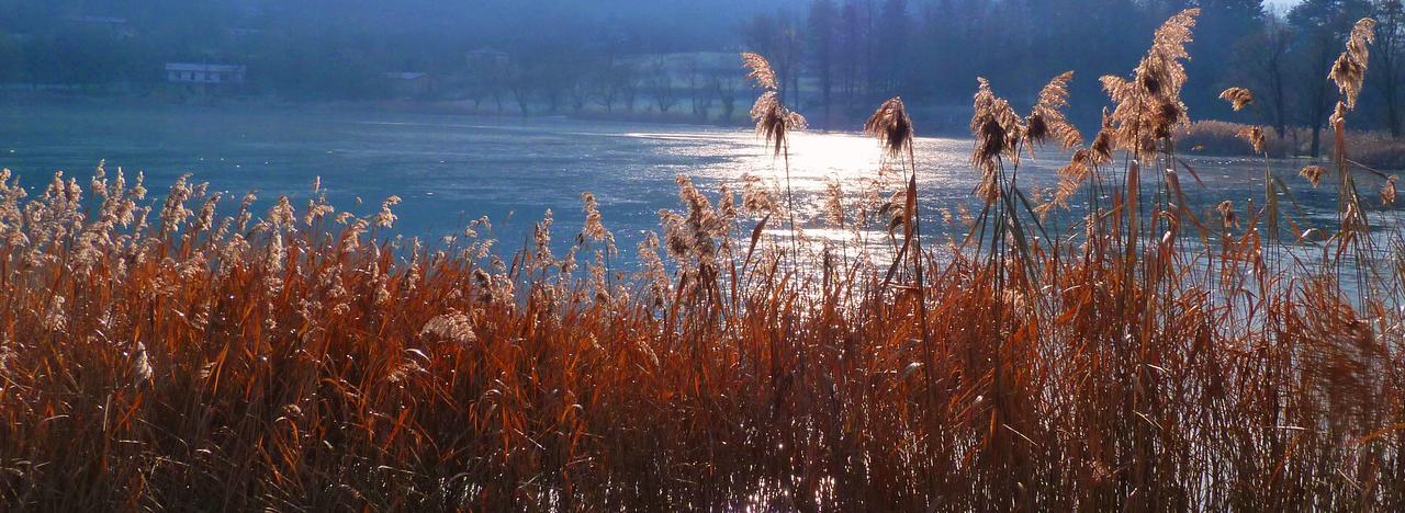 Albergo La Romanella Spinone Al Lago Экстерьер фото
